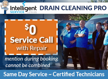 pendletondrain cleaning & repair Intelligent Service