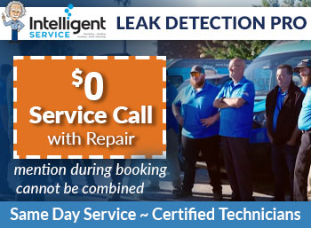 moore Leak Detection Intelligent Service