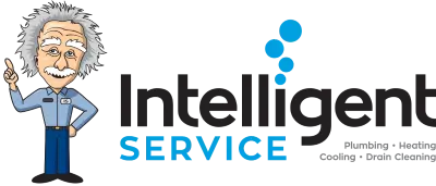 intelligent service logo