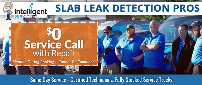 pelzer Slab Leak DetecionIntelligent Service