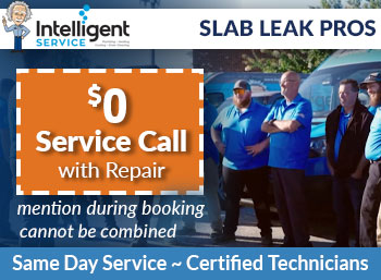 pelzer Slab Leak Detection Intelligent Service