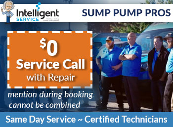 gantt Sump Pumps Intelligent Service